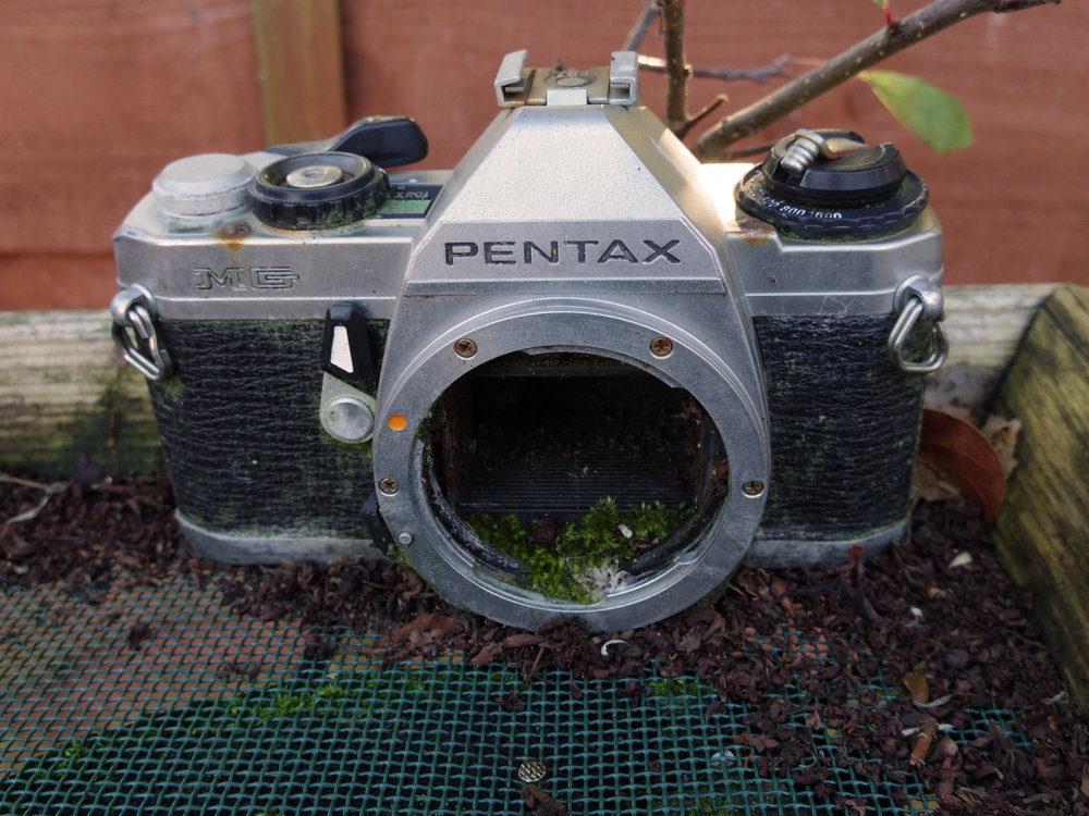 Pentax Q 01 Standard 8.5mm f/1.9 Lens Review