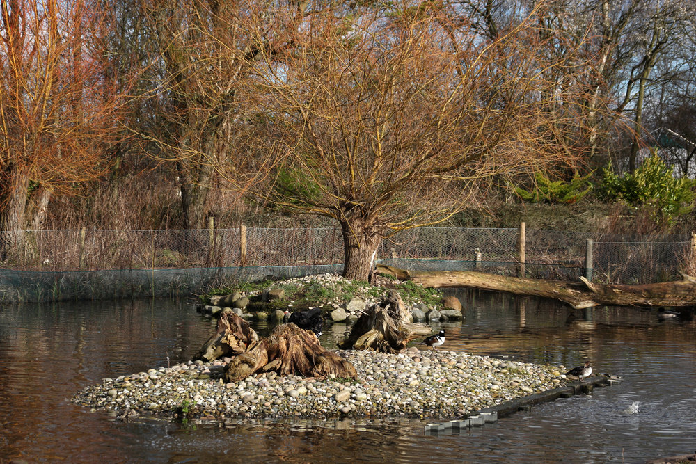 Tamron 18 200mm F 3 5 6 3 Di Ii Vc Images