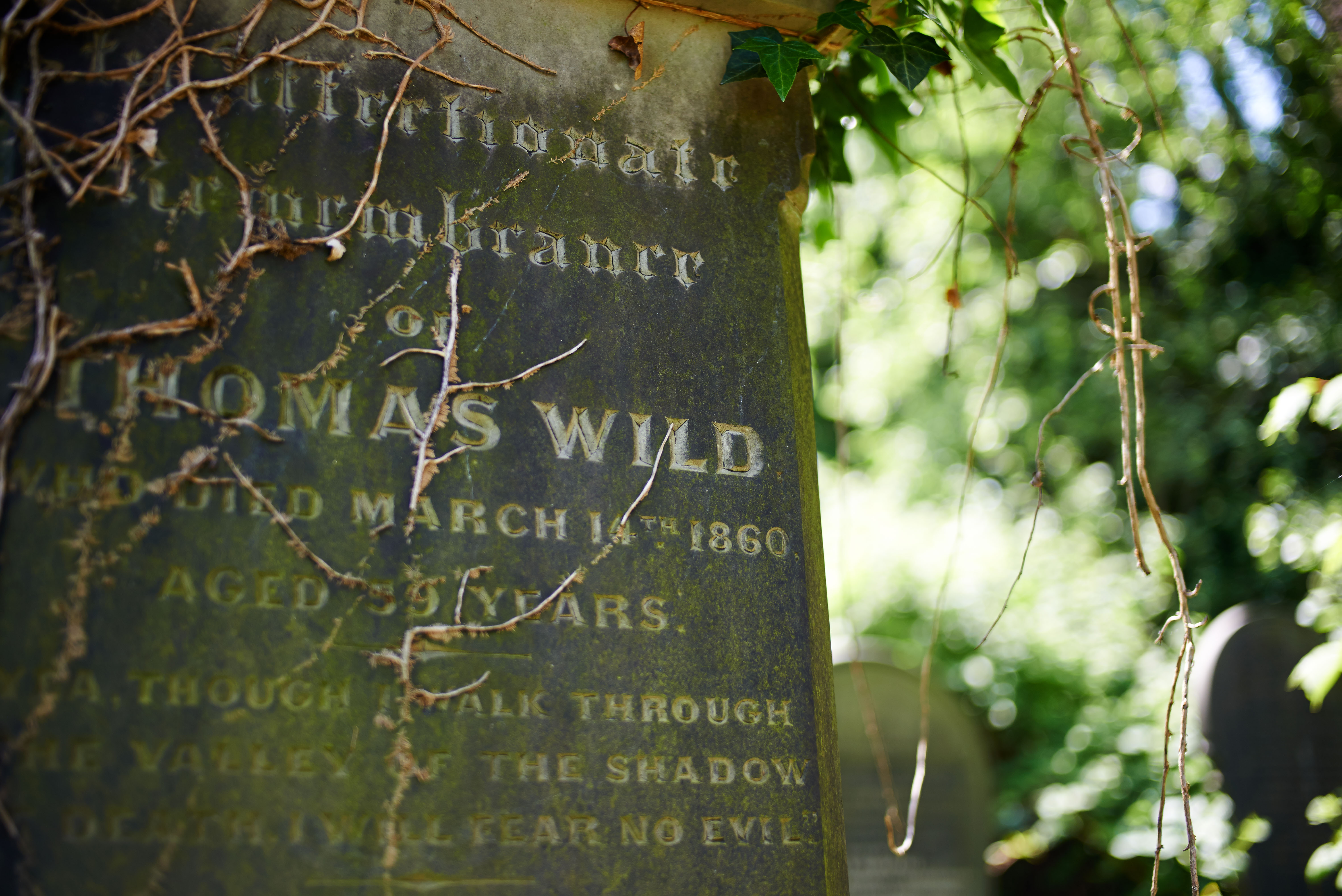 Voigtlander 40mm F 2 Ultron Sl Ii Lens Review Ephotozine