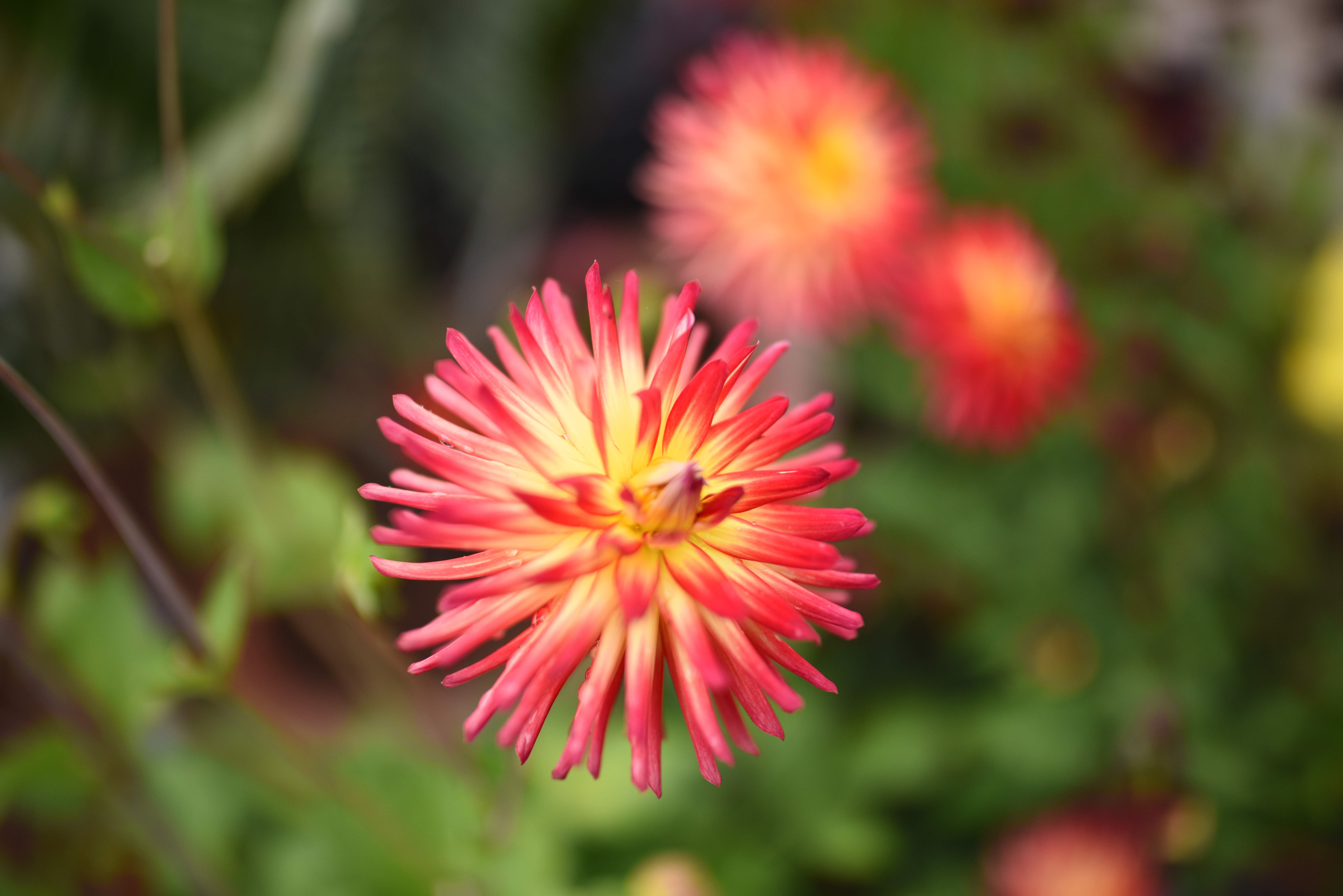 Nikon Af S Nikkor 28mm F 1 4e Ed Review Ephotozine