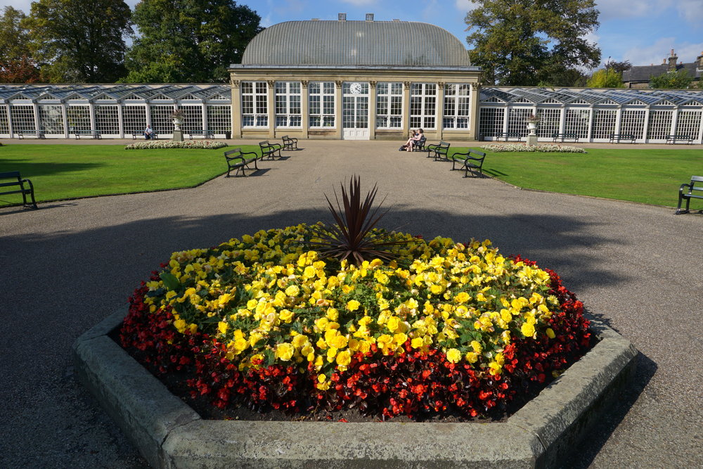 Sony Alpha Ilce 5100 A5100 Review Performance Ephotozine