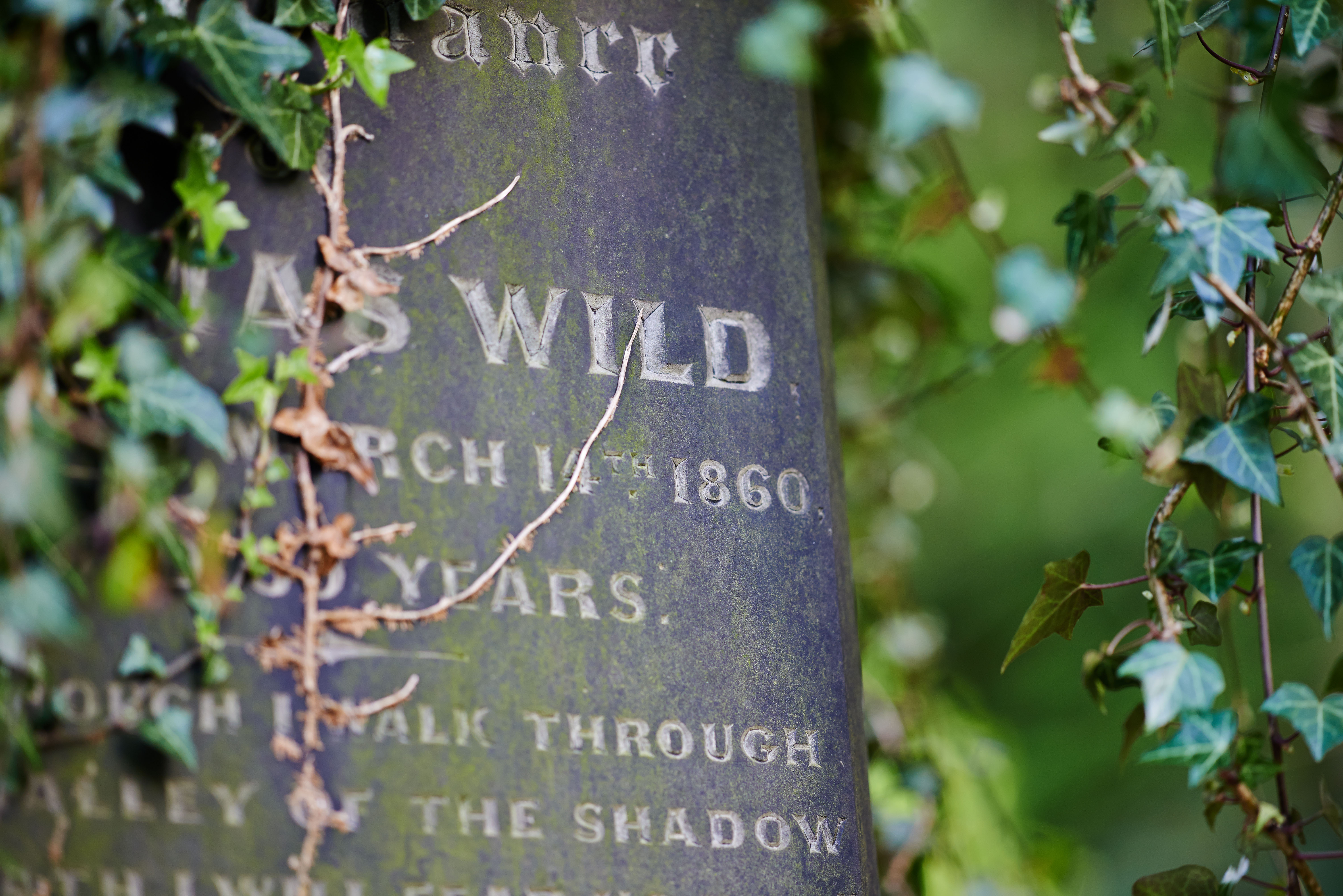 Carl Zeiss Apo Sonnar T 135mm F 2 Review Ephotozine