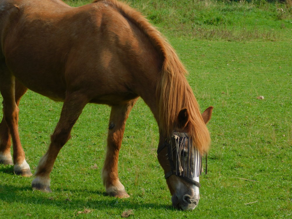 Nikon Coolpix A900 B700 B500 Hands On Preview Ephotozine Uploaded by dcamera on at 4:30 am. nikon coolpix a900 b700 b500 hands on