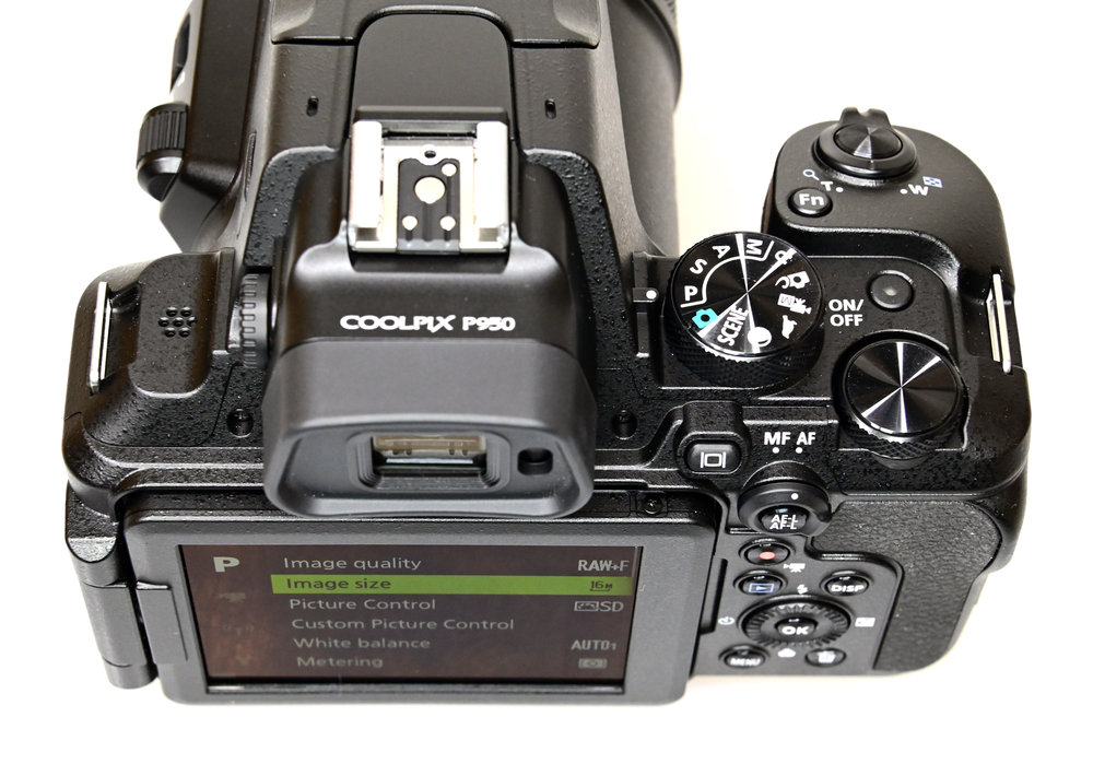 Nikon Coolpix P950 Sample Photos ePHOTOzine