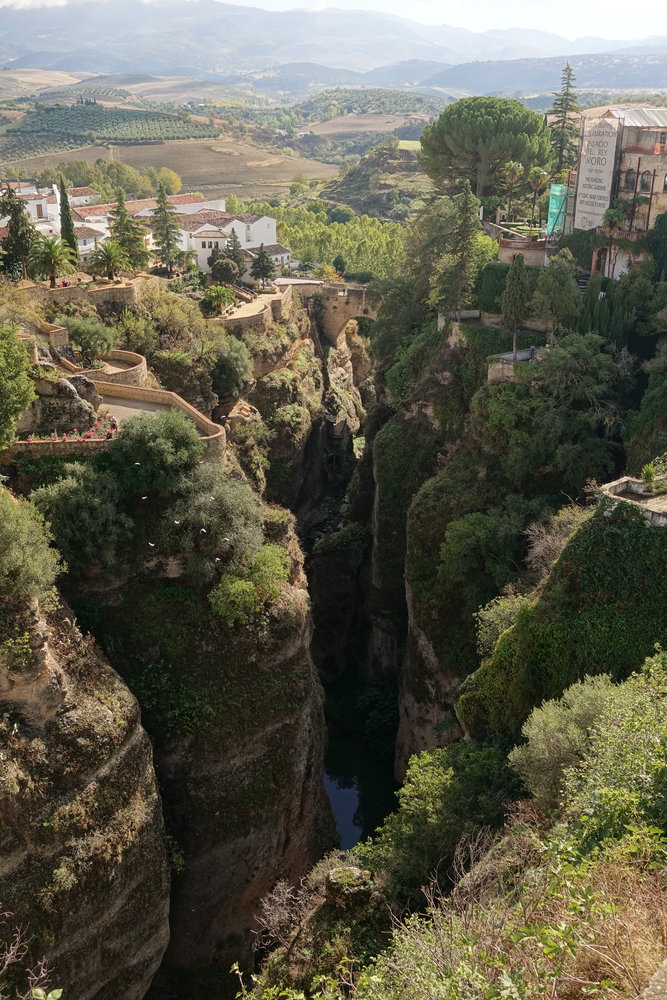 Sony RX100 V Sample Photos And Video ePHOTOzine