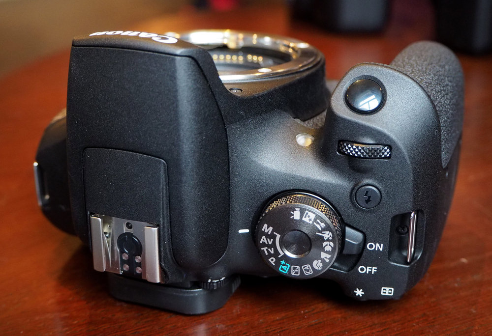 Canon EOS 2000D (Rebel T7) Images