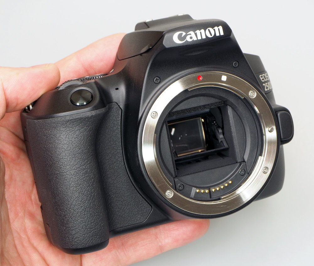 Canon EOS 250D (Rebel SL3) Images