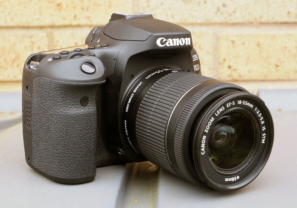 Canon eos 90d примеры фотографий