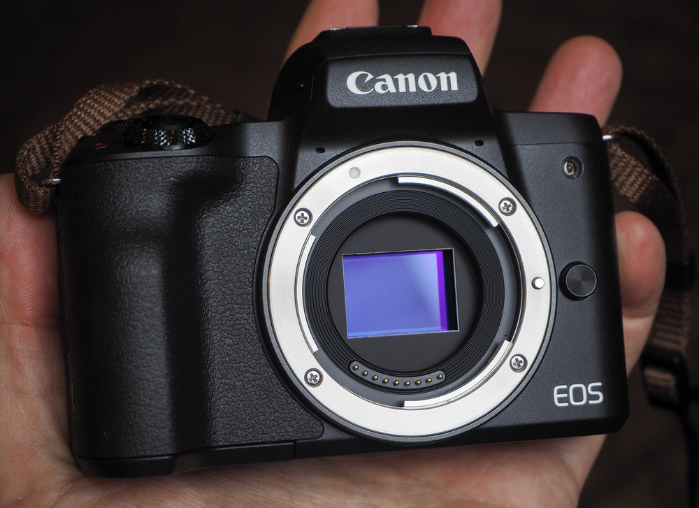 Canon EOS M50 Sample Photos ePHOTOzine