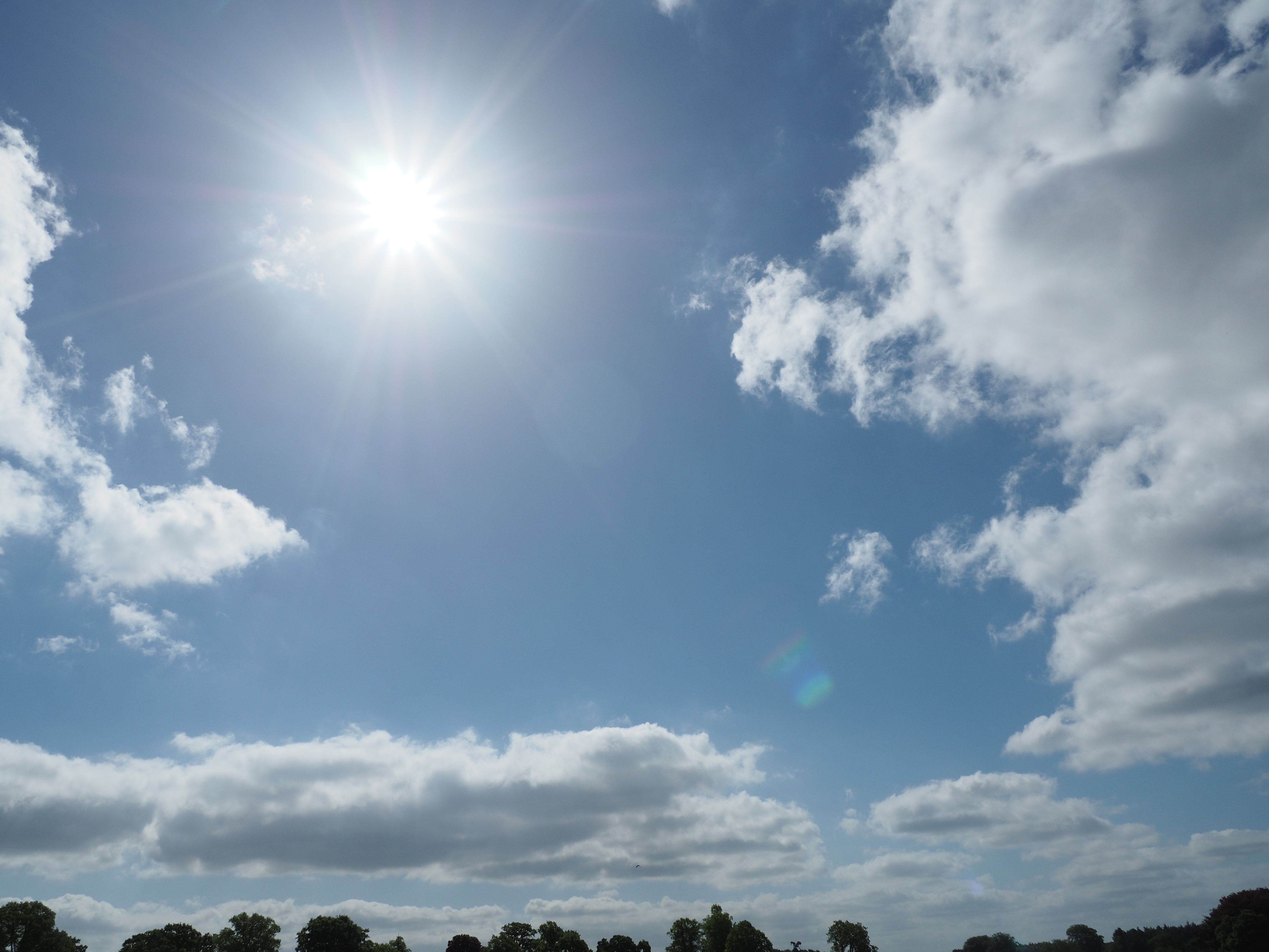 Hoya Hd Protector Filter Review Ephotozine