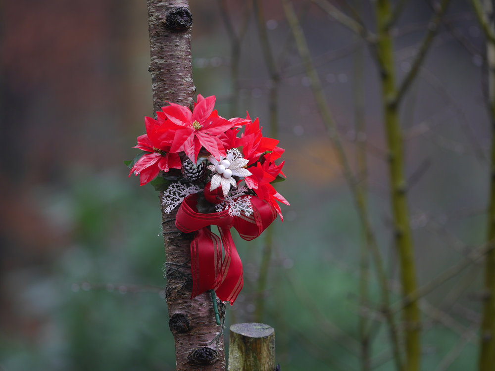 Panasonic Leica Dg Elmarit 0mm F 2 8 Power O I S Review Ephotozine