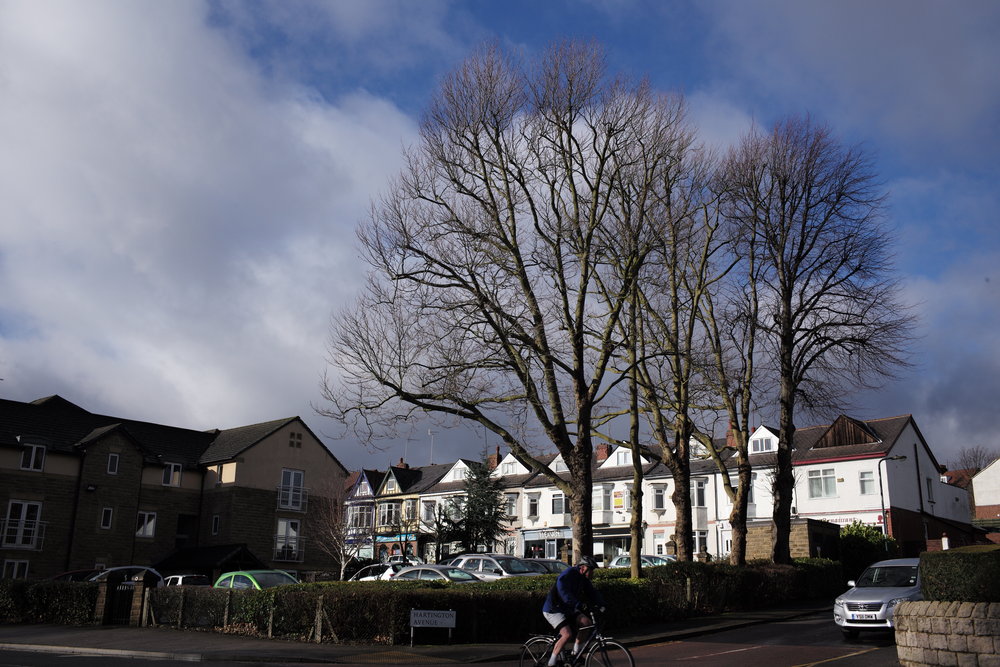 Leica M (Typ 240) Review | ePHOTOzine