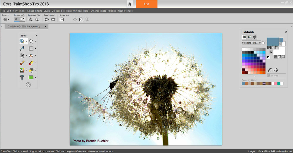 Corel Pro 2018 Images