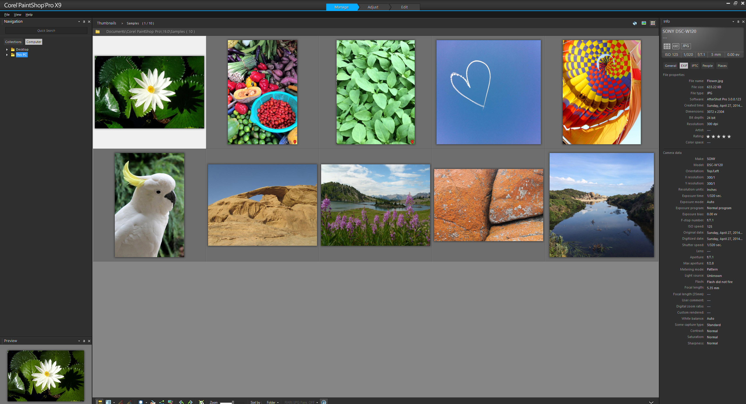 Corel Pro X9 Images