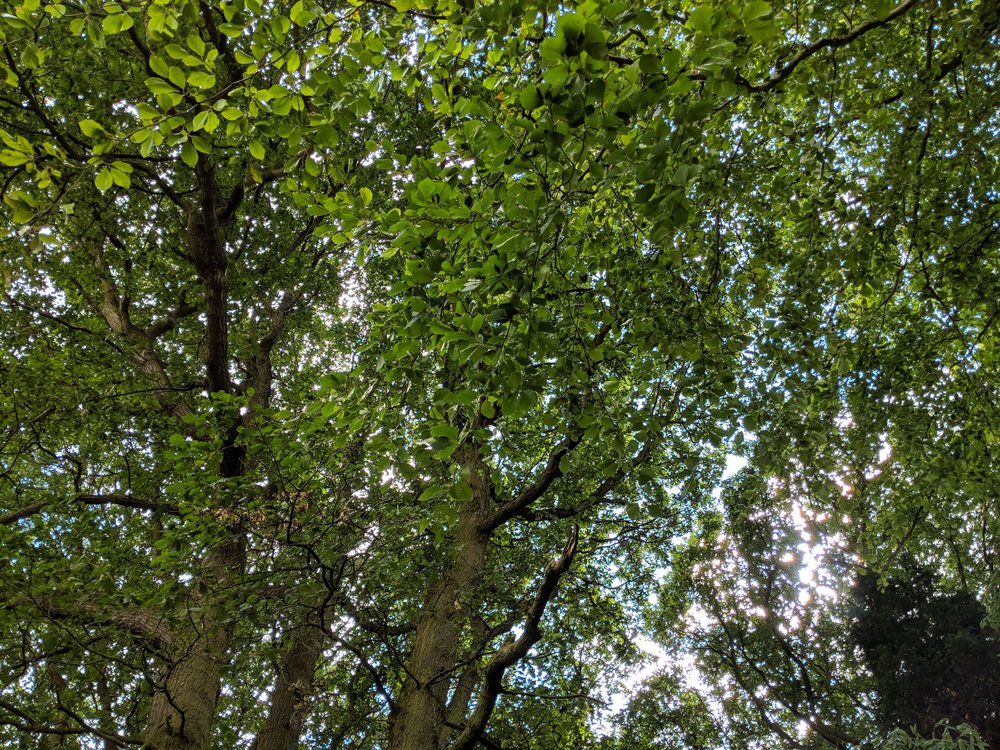 Google Pixel 2 XL Smartphone Camera Sample Photos | ePHOTOzine