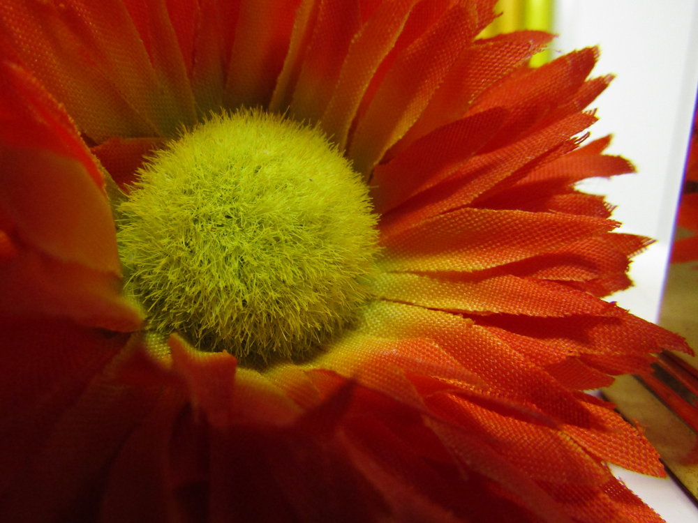Canon Powershot SX430 IS Images