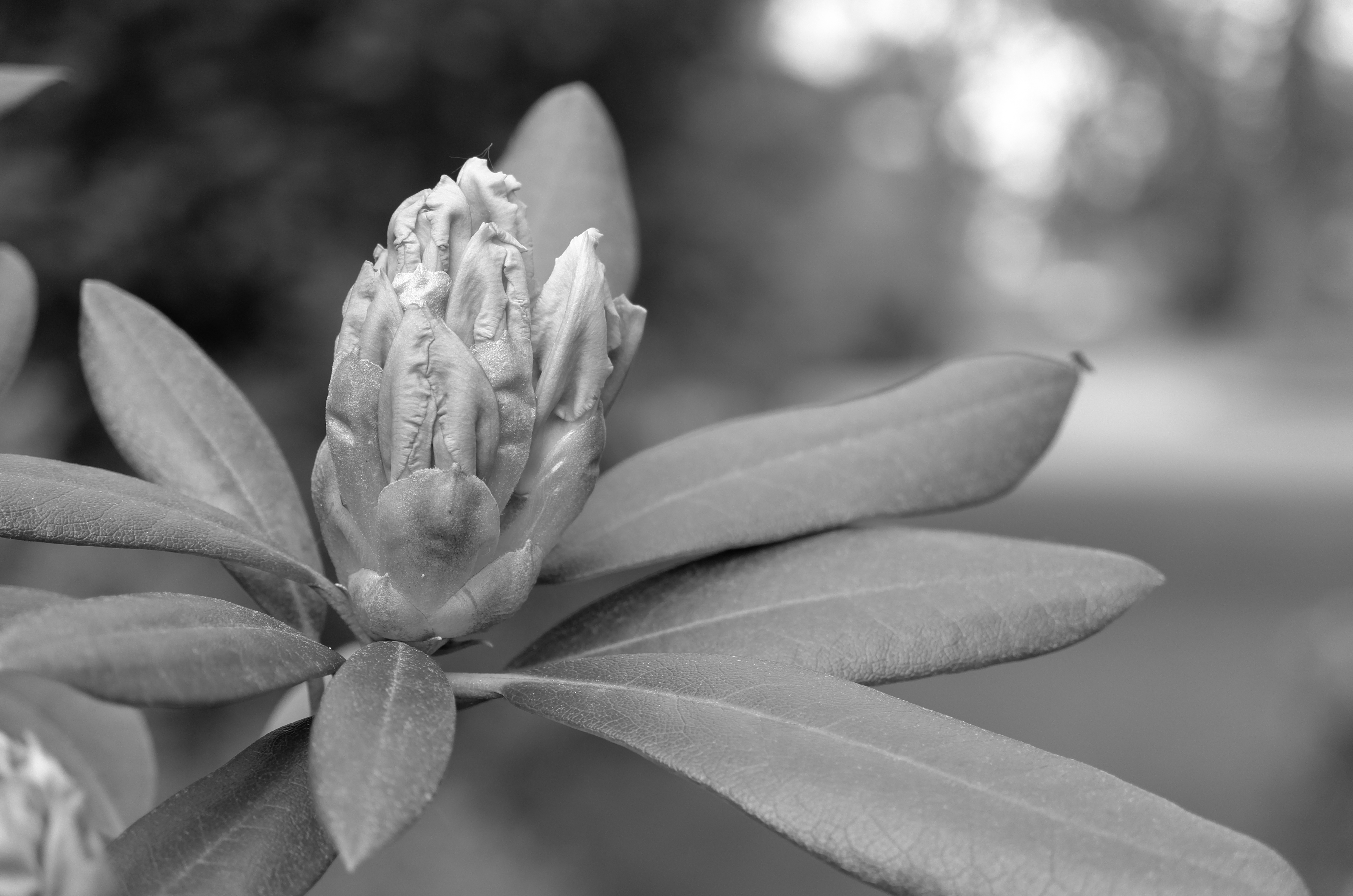 Leica T Typ 701 System Full Review Ephotozine Leica T Typ 701 System Full Review Ephotozine