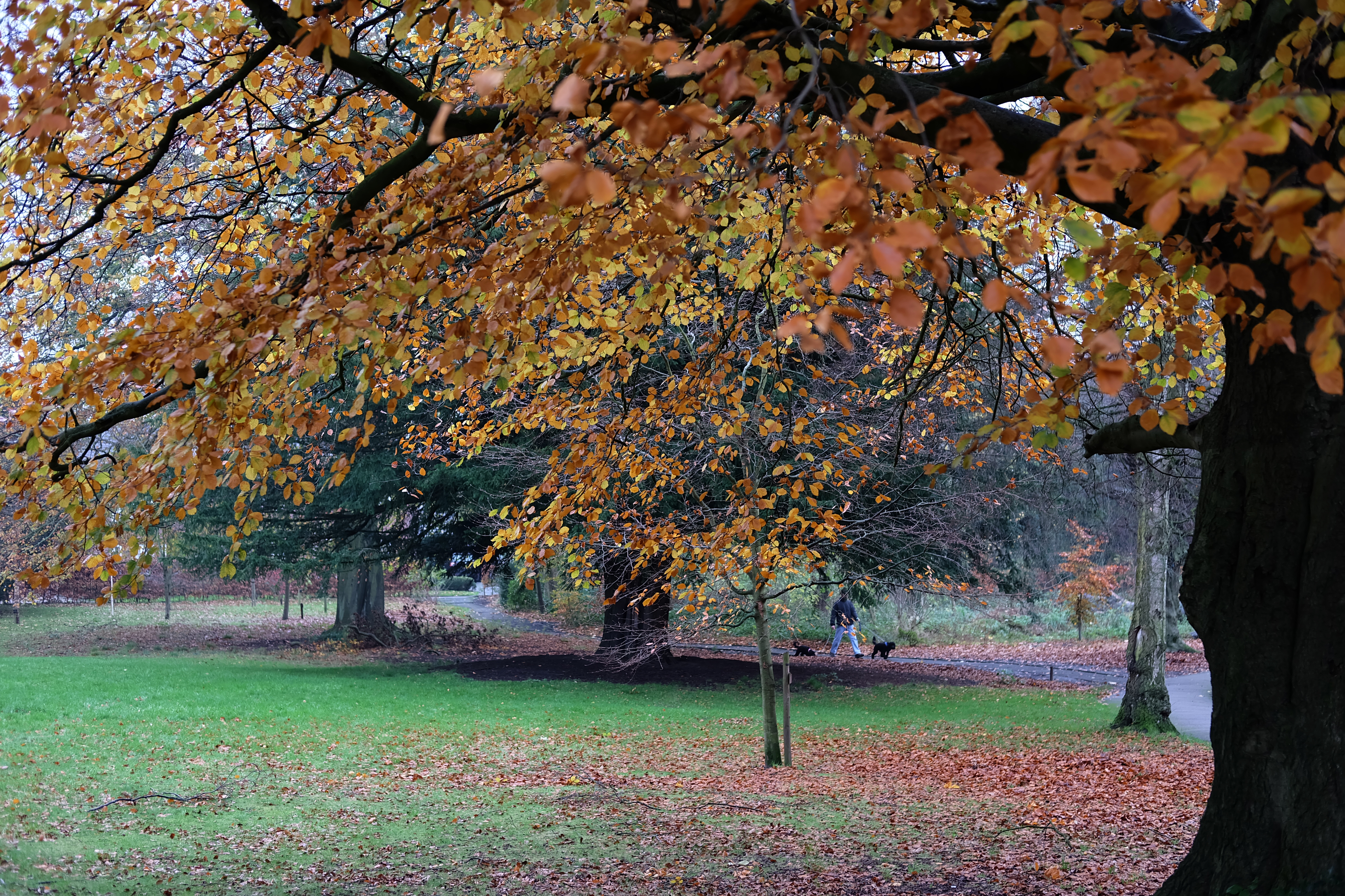 Fujifilm Fujinon Xf 35mm F 2 R Wr Lens Review Ephotozine